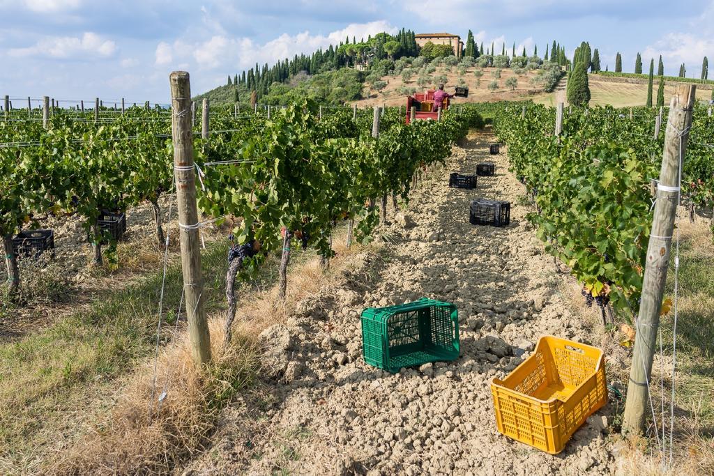 Argiano Dimore Wine Relais Exterior photo