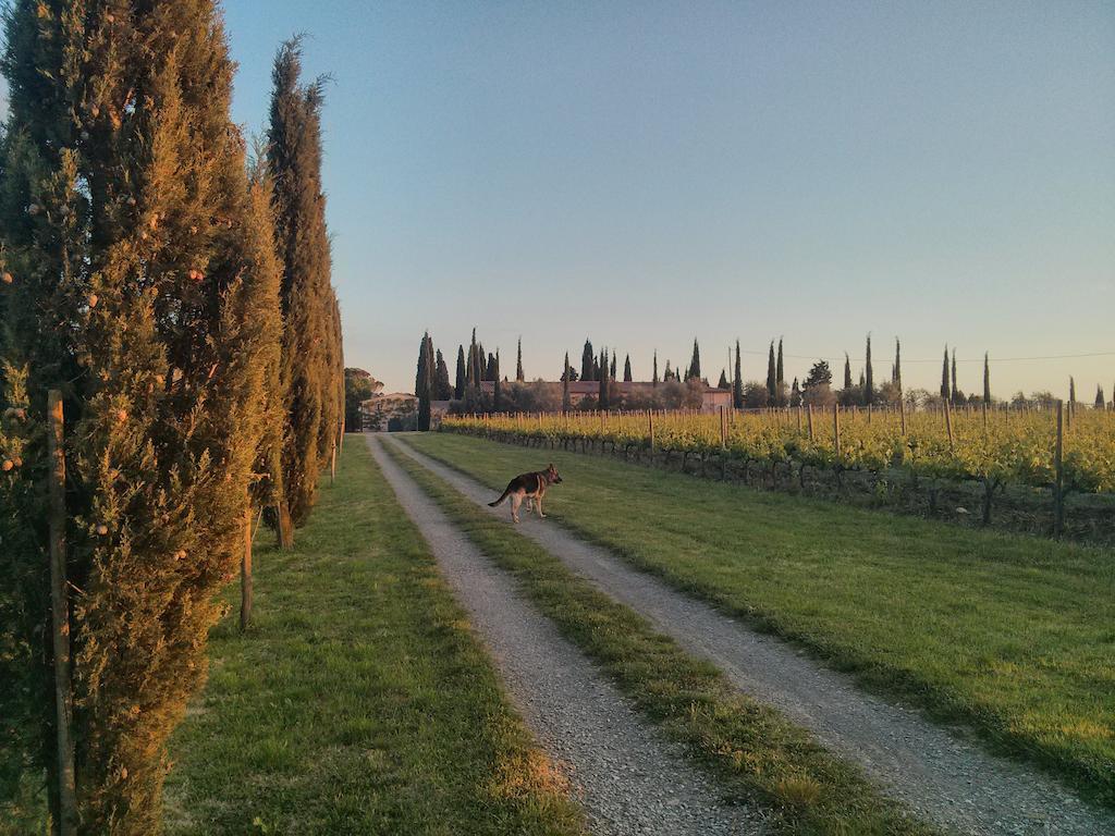 Argiano Dimore Wine Relais Exterior photo